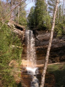 vmunising11